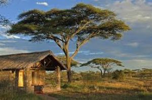 Ndutu Safari Lodge view